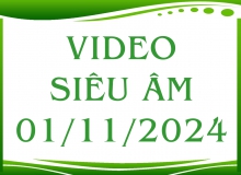 Video siêu âm ngày 01/11/2024